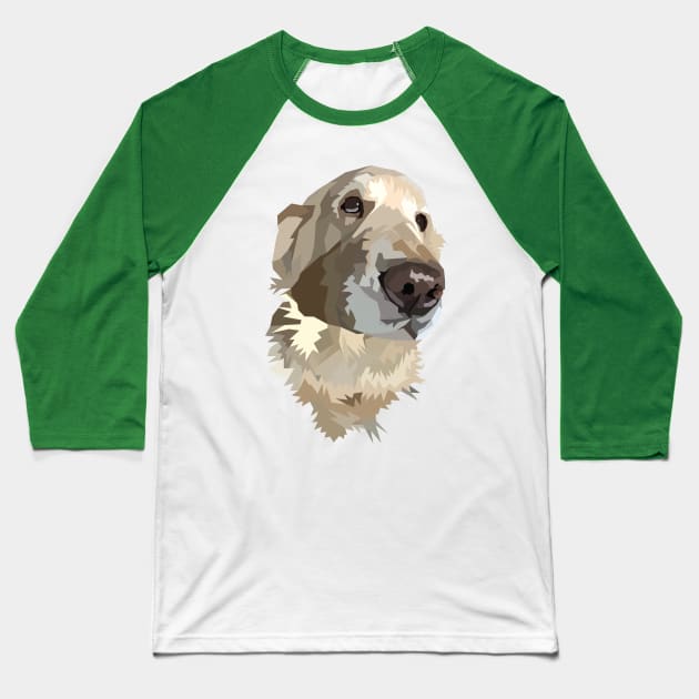 Golden Retriever Baseball T-Shirt by IIsEggs